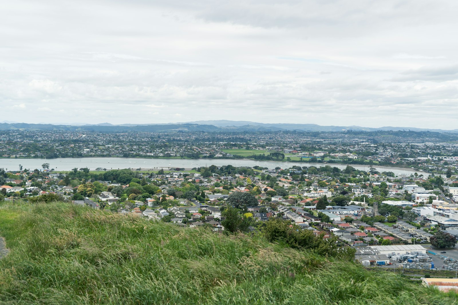 Best Regions for First Home Buyers in NZ (Price Caps & Affordability)