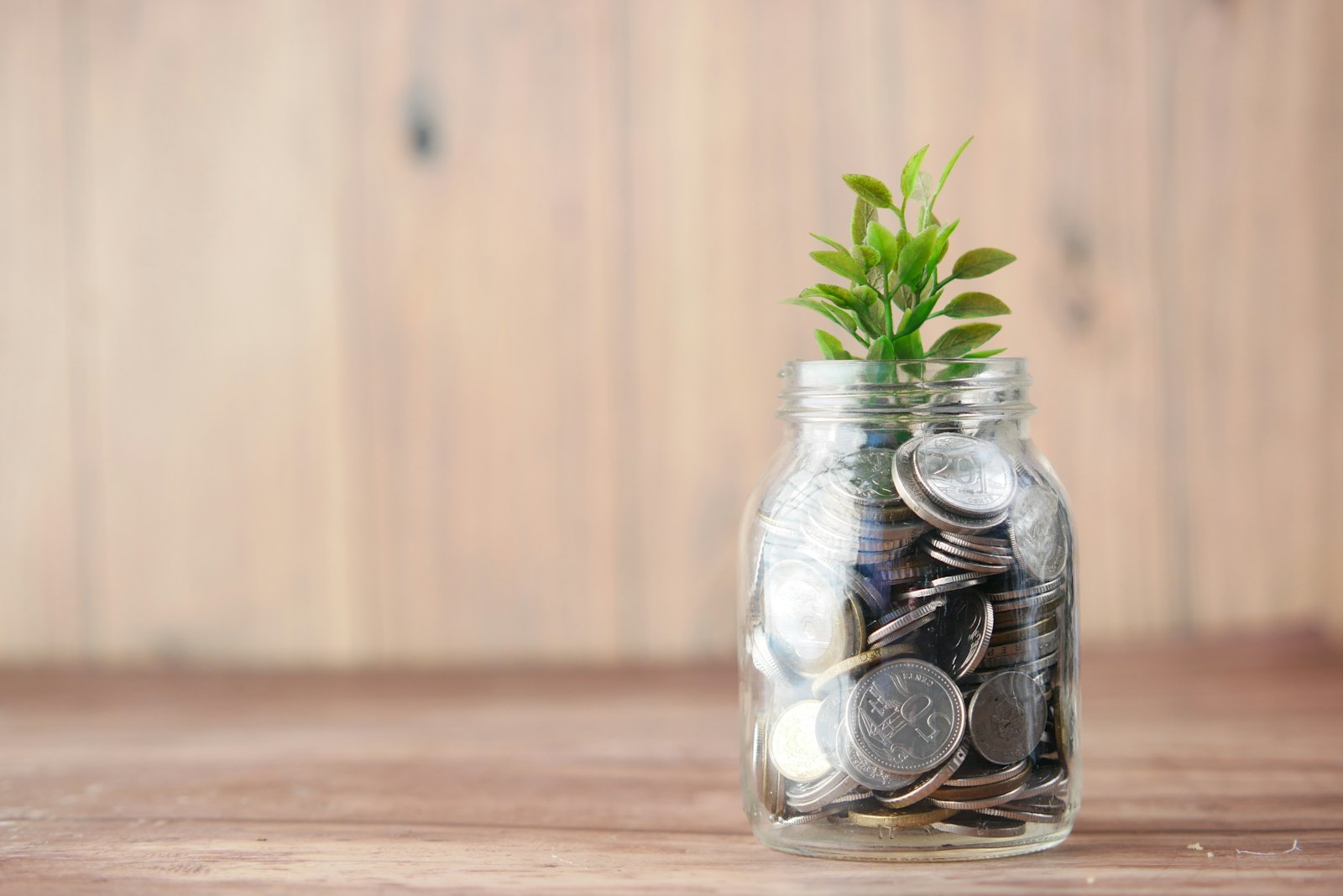 First Home Buyer Grants & Support Schemes in NZ Explained