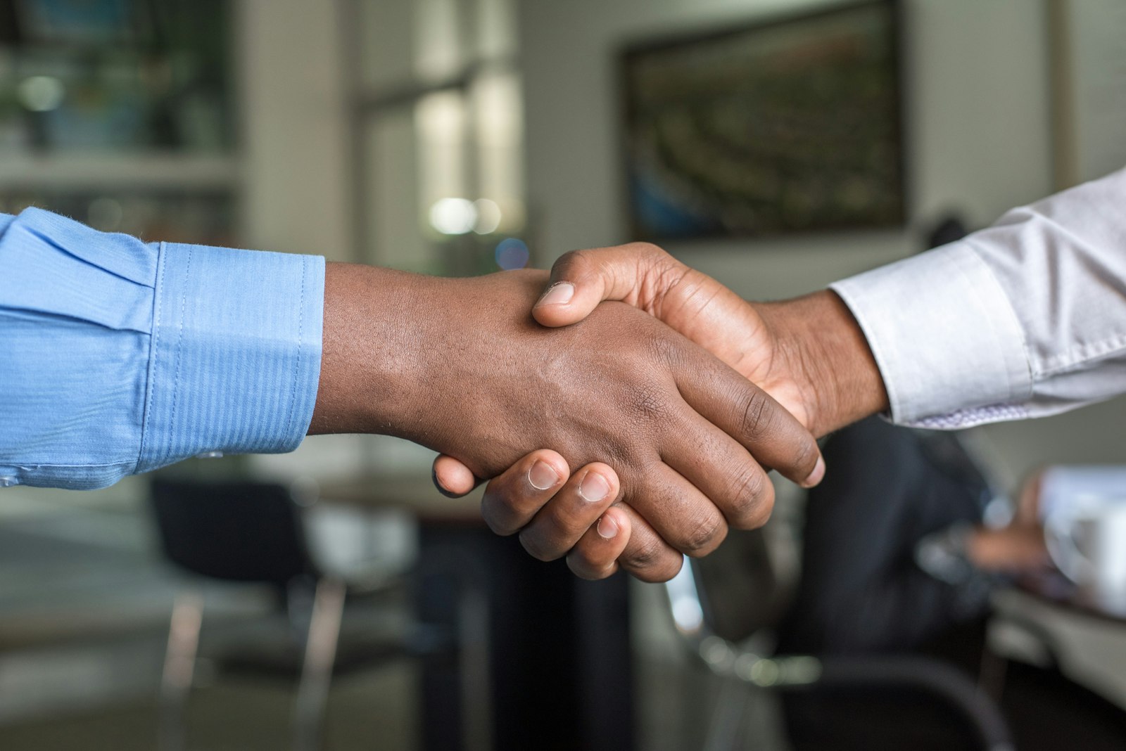 Do You Need a Lawyer to Buy a House in NZ?