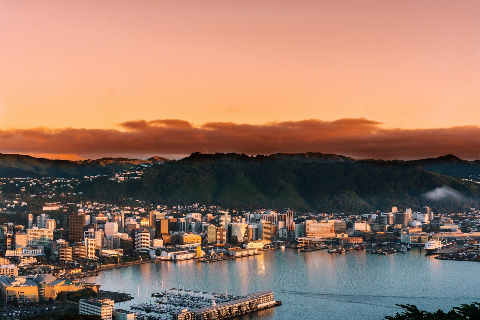 First Home Buyer Grants & Support Schemes in NZ Explained