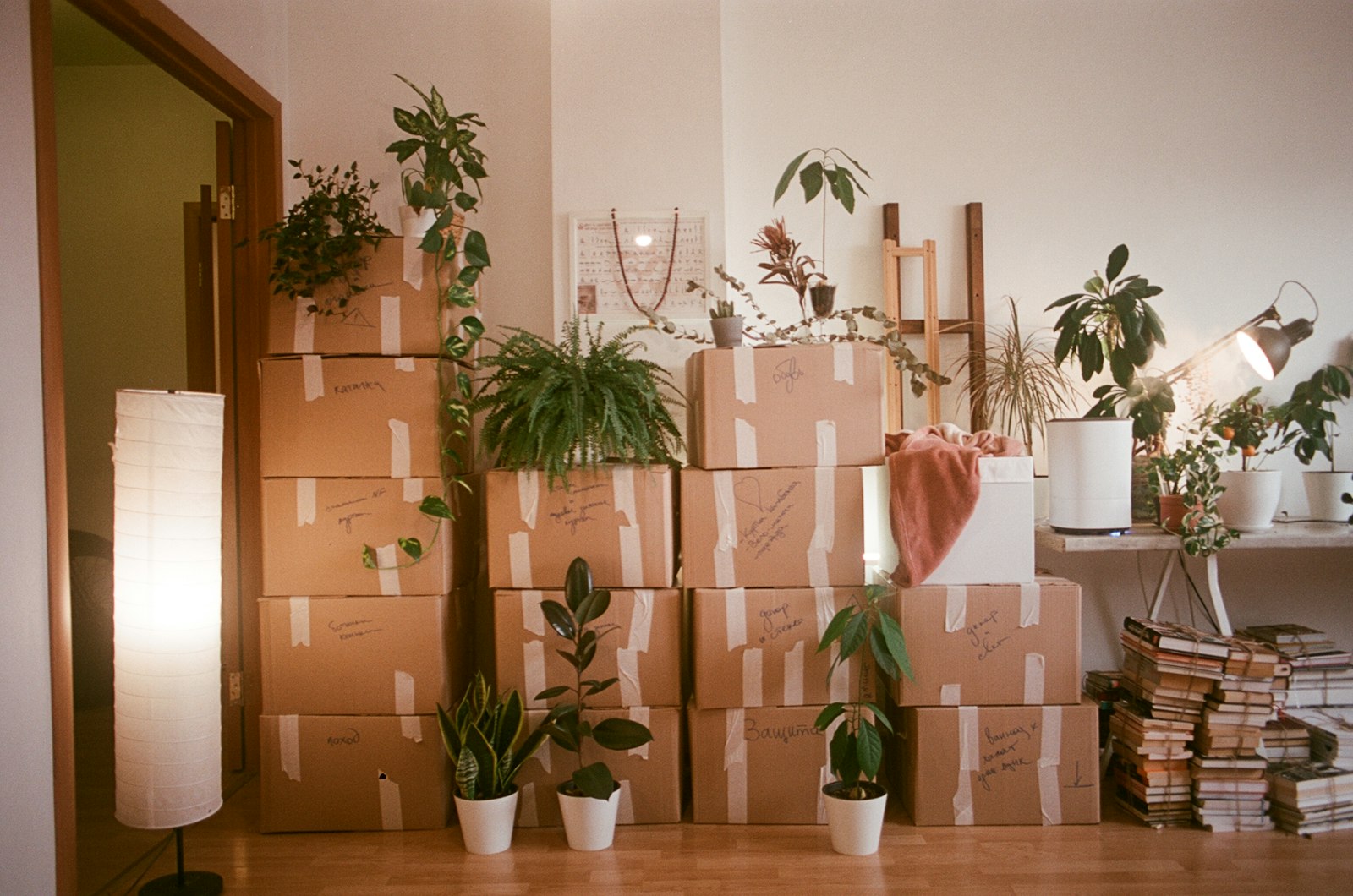 moving boxes stacked in a new home
